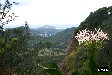 P0002659.JPG